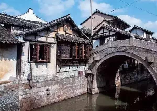 呆萌动物园